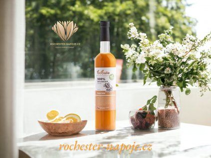 BOBULE 100 % bio rakytníková šťava, 500 ml CZ