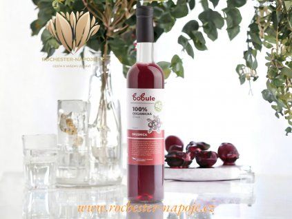 BOBULE 100% bio brusnicová šťava 500 ml CZ