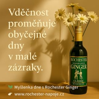 🌼 Když se na chvíli zastavíme, zjistíme, že důvodů k vděčnosti je víc, než si myslíme. Dnes děkujme za malé věci – právě...