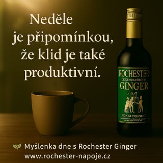 🌤 Ne všechno se musí dít hned. I odpočinek má svůj význam – dává sílu pro nový začátek. Dopřejte si klidnou neděli s...